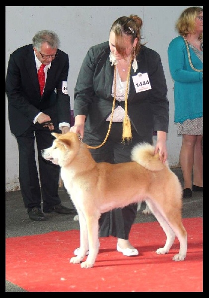 CH. G'toukahimé Des dragons du soleil rouge - 4 ème Excellent