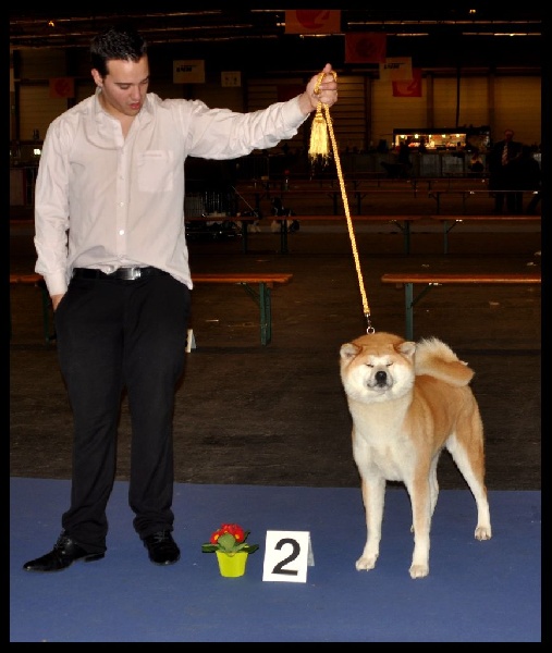 CH. G'toukahimé Des dragons du soleil rouge - 2 ème Excellent + RCAC + RCACIB