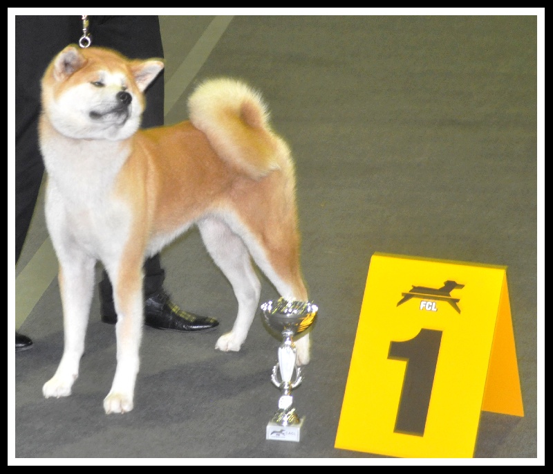 CH. G'toukahimé Des dragons du soleil rouge - 1 ère Excellent + CACL