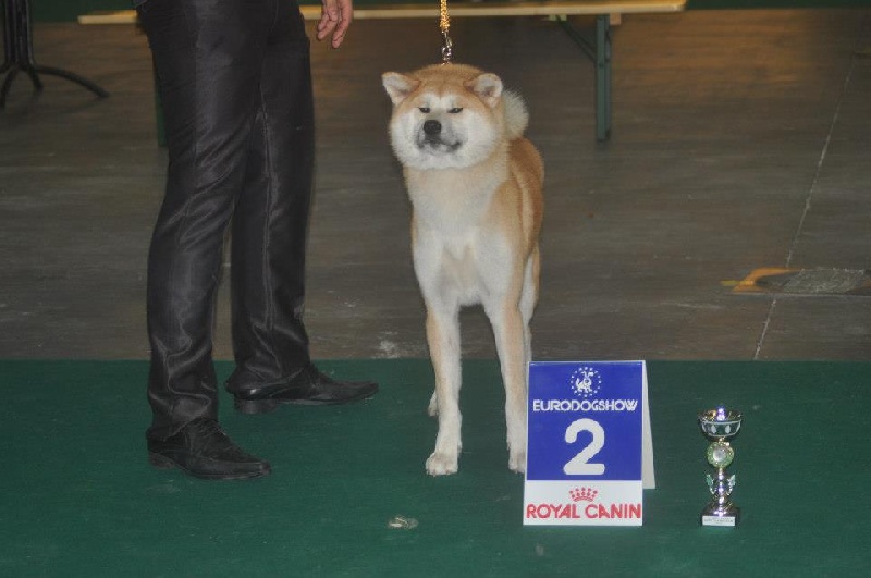 CH. G'toukahimé Des dragons du soleil rouge - 2ème Excellent