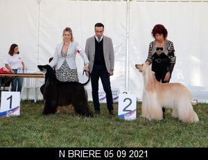 CH. Niazmina Du Clos Wareshom - 2eme TB