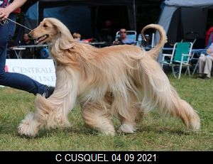 CH. Niazmina Du Clos Wareshom - 3eme exc