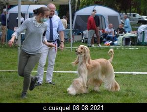 CH. Niazmina Du Clos Wareshom - RCACS