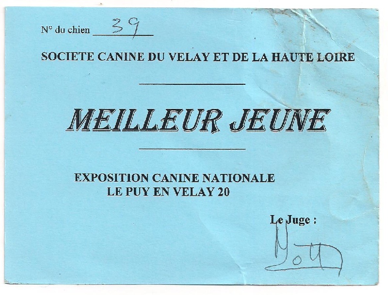 Hola Des Monts Eternels - 1er Excellent Meilleur Jeune classe jeune femelle