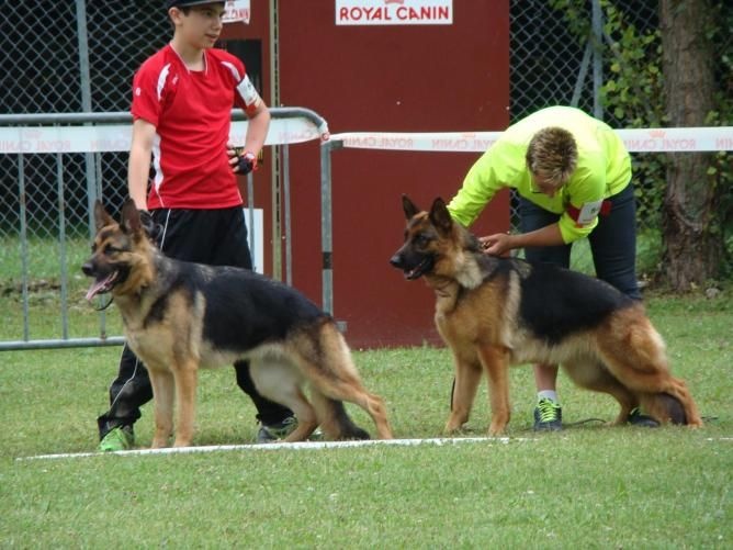 Hola Des Monts Eternels - 1ère Excellent classe ouverte femelle