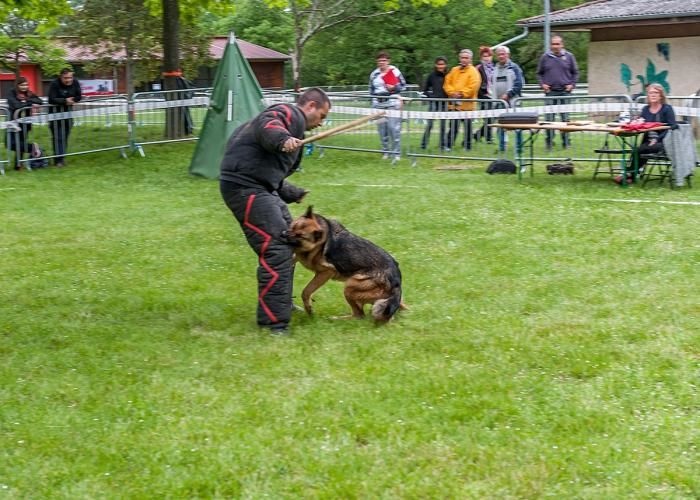 Hola Des Monts Eternels - Test de caractère réussi