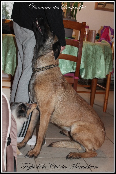 Publication : du Domaine des Sentinelles Auteur : Domaine des Sentinelles