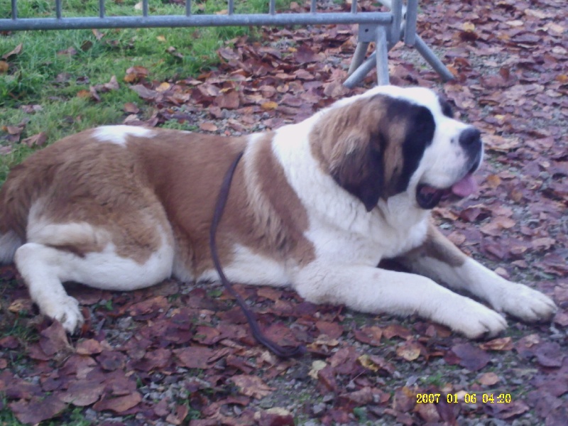Publication : Des Montagnes Ensablées Auteur : MOULIN CHRISTELLE