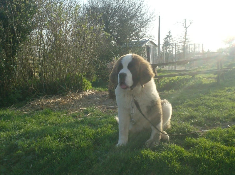 Publication : Des Montagnes Ensablées Auteur : MOULIN CHRISTELLE