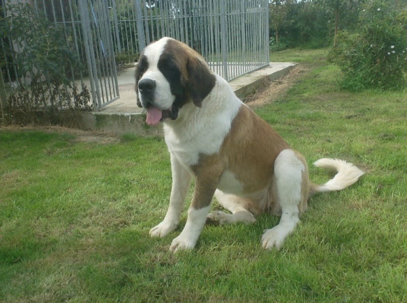 Publication : Des Montagnes Ensablées Auteur : MOULIN CHRISTELLE
