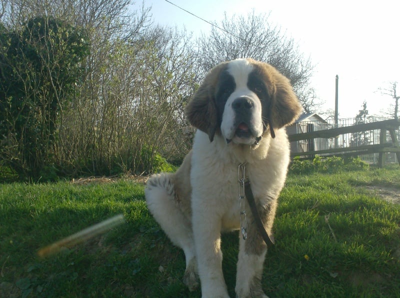 Publication : Des Montagnes Ensablées Auteur : MOULIN CHRISTELLE