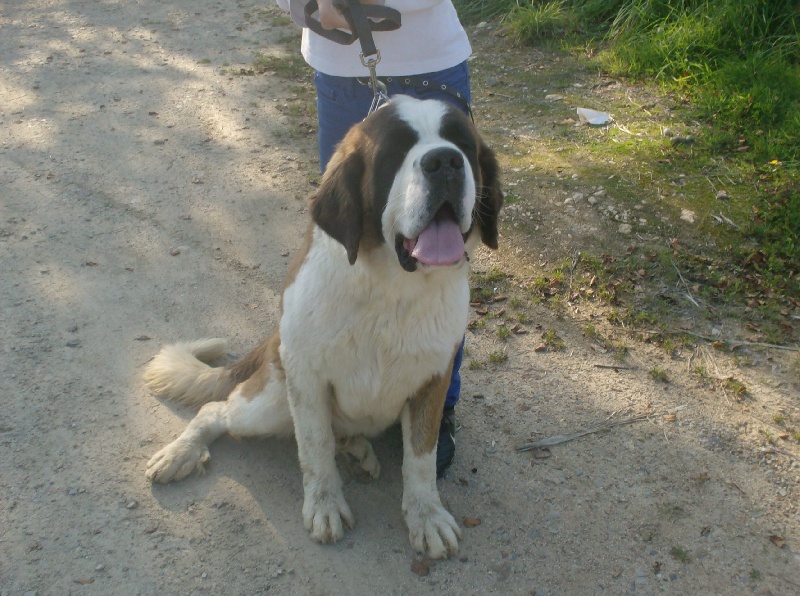 Publication : Des Montagnes Ensablées Auteur : MOULIN CHRISTELLE