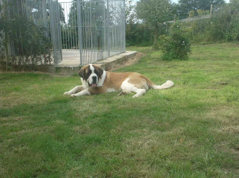 Publication : Des Montagnes Ensablées Auteur : MOULIN CHRISTELLE