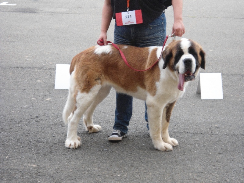 Farah du domaine du roi richard - 2 EME TRES BON