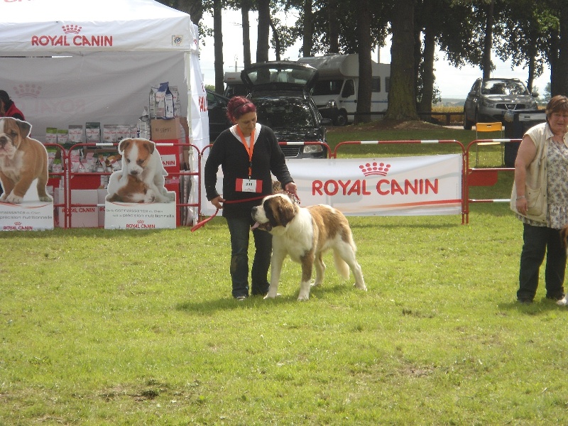 Farah du domaine du roi richard - 1 ERE EXCELLENT RCACS