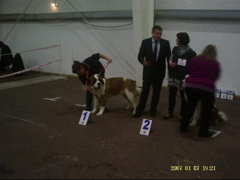 Farah du domaine du roi richard - 1er EXCELLENT MEILLEUR JEUNE