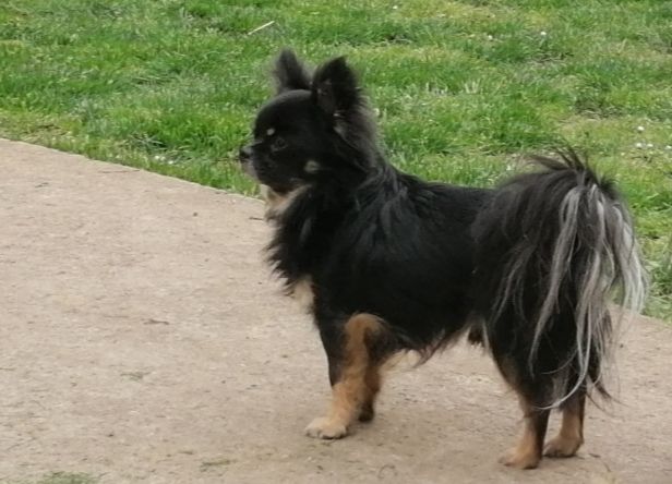 Publication : du domaine d'orca Auteur : BODEAU Alexandra