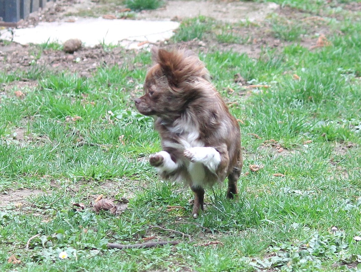 Publication : du domaine d'orca Auteur : BODEAU ALEXANDRA