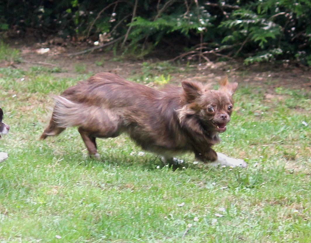 Publication : du domaine d'orca Auteur : BODEAU ALEXANDRA