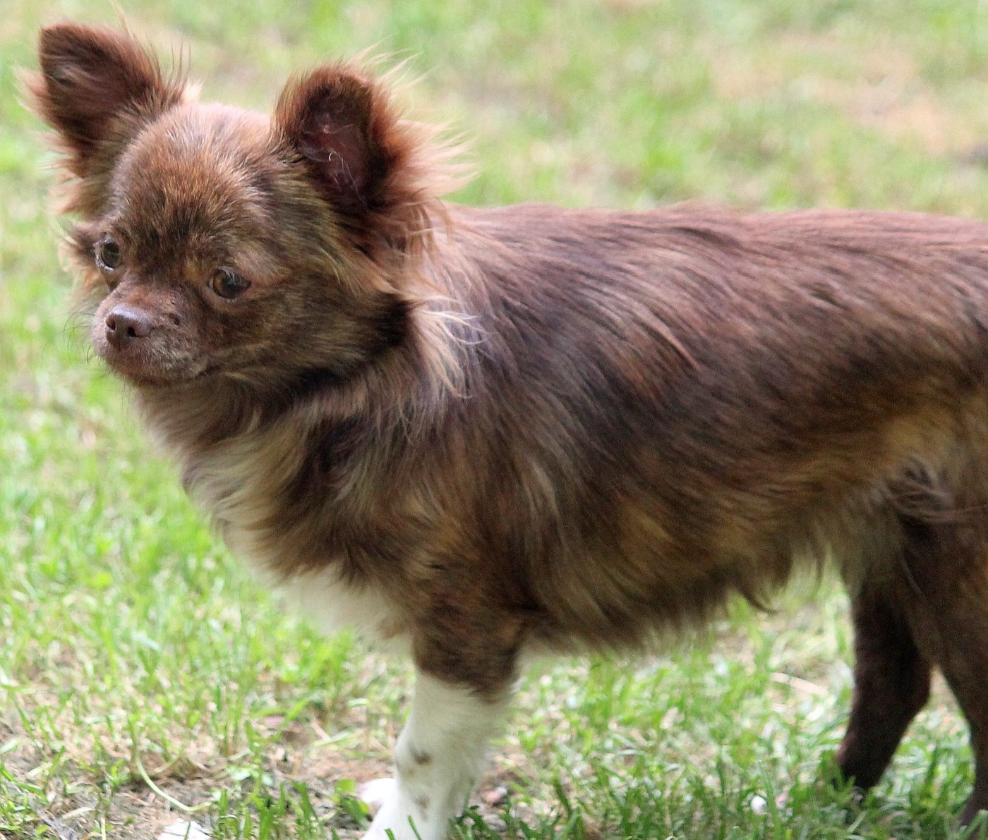 Publication : du domaine d'orca Auteur : BODEAU ALEXANDRA