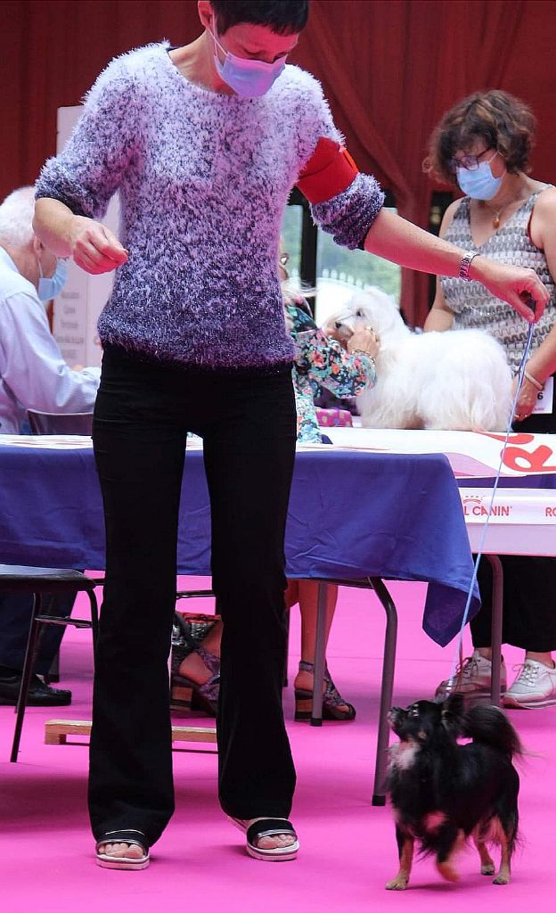 Publication : du domaine d'orca Auteur : BODEAU Alexandra