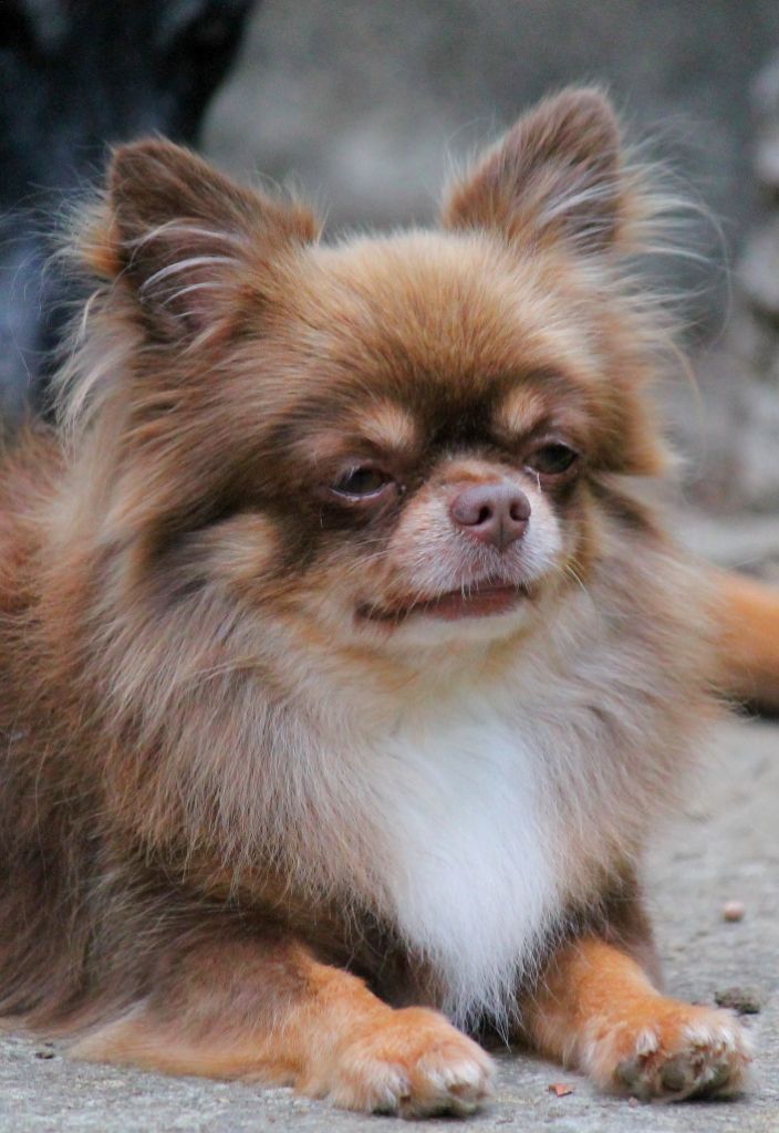 Storm my angels bellanaya