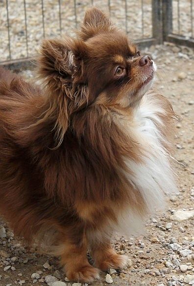 Storm my angels bellanaya