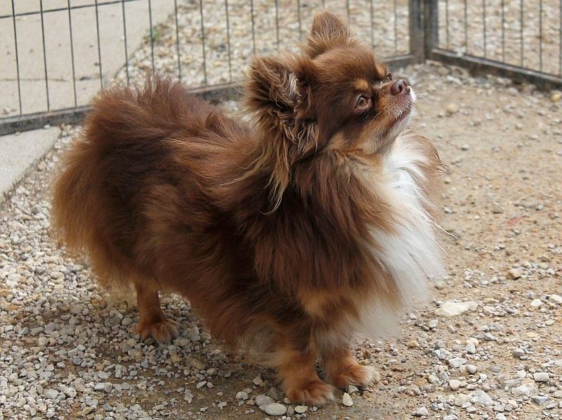 Storm my angels bellanaya