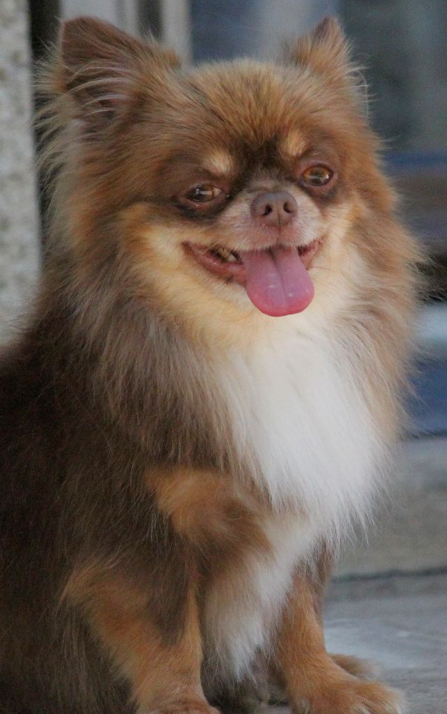 Storm my angels bellanaya