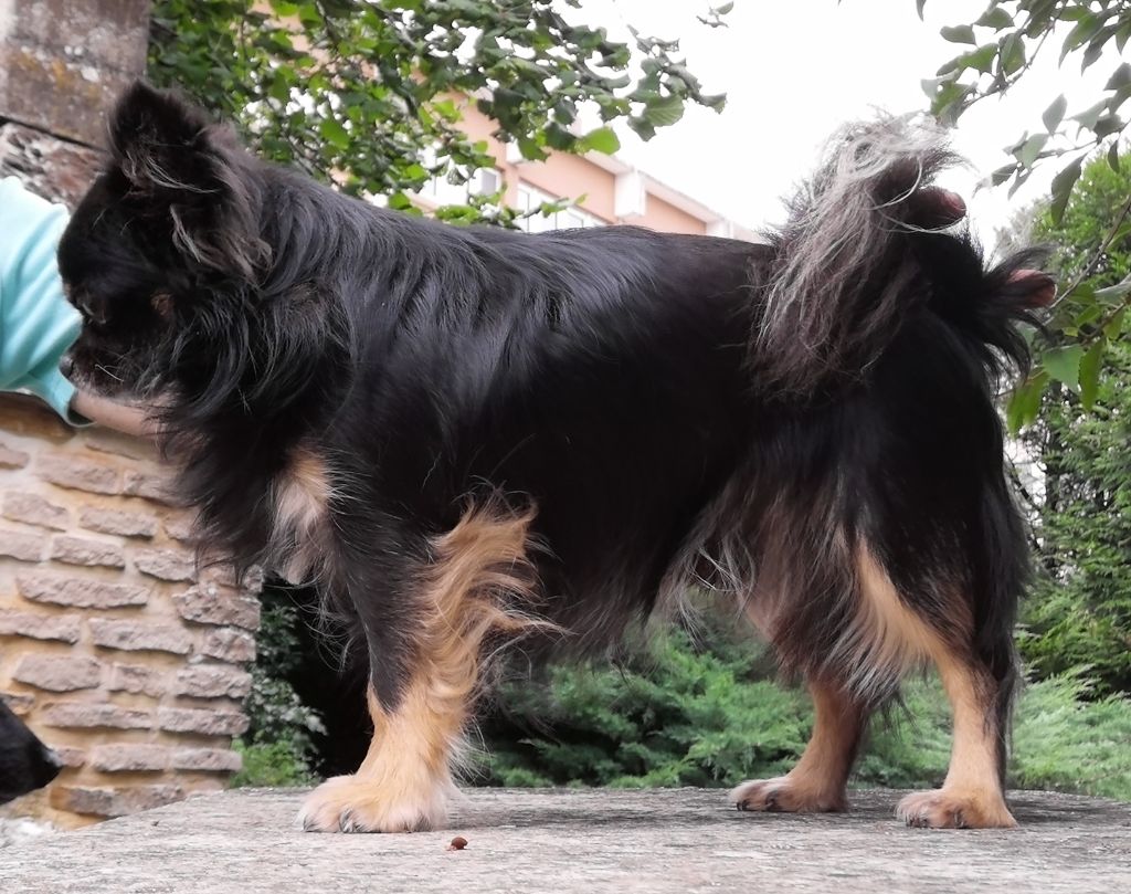 Publication : du domaine d'orca Auteur : BODEAU Alexandra