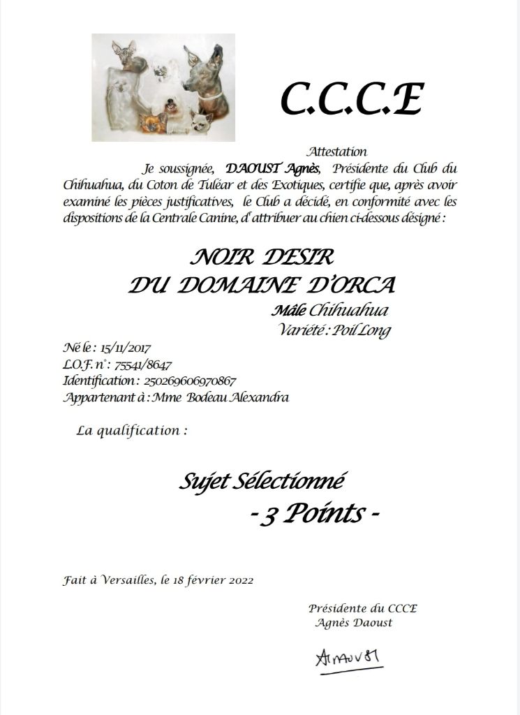 Publication : du domaine d'orca Auteur : BODEAU Alexandra