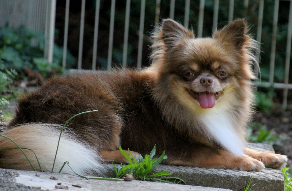 Storm my angels bellanaya