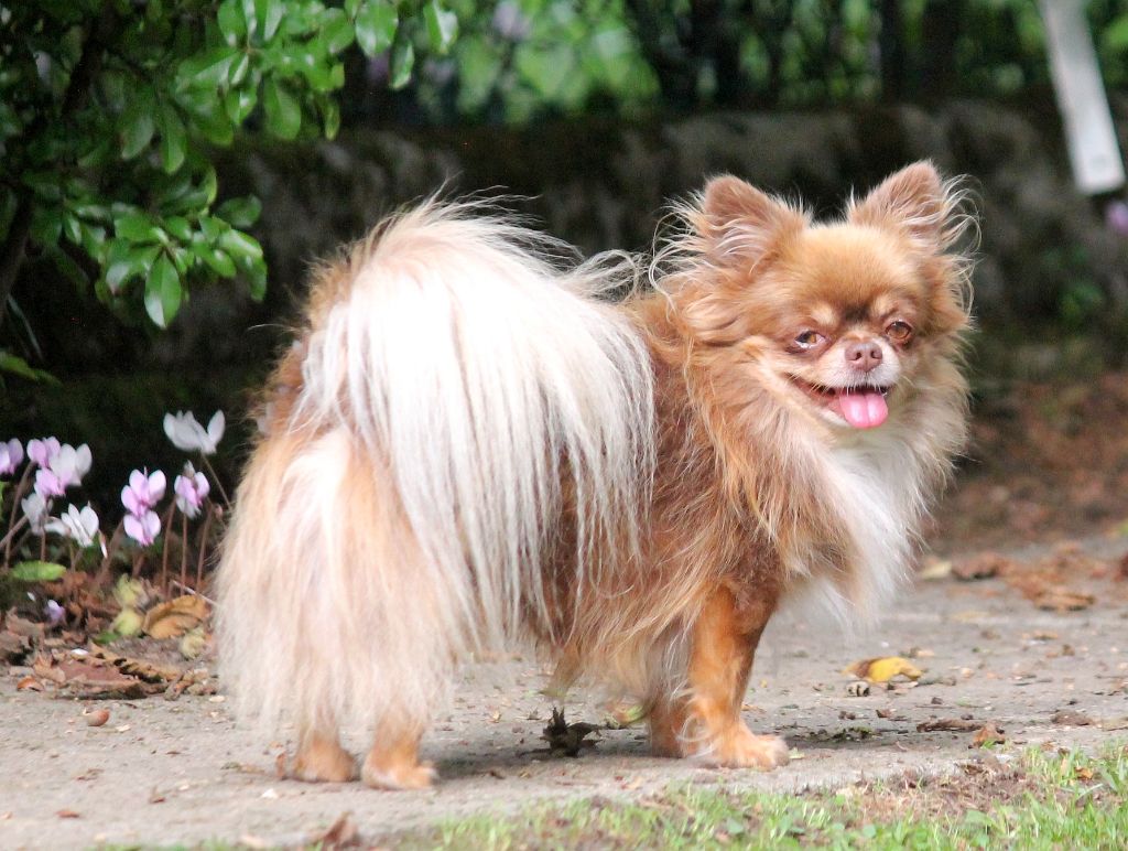 Storm my angels bellanaya