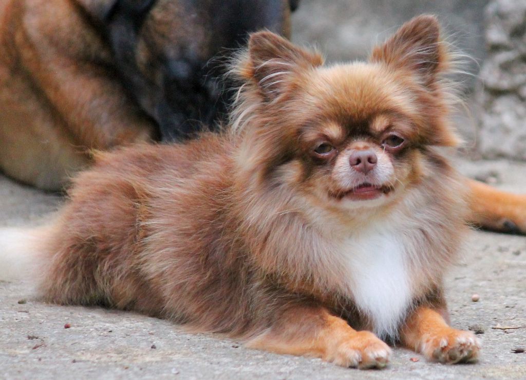 Storm my angels bellanaya