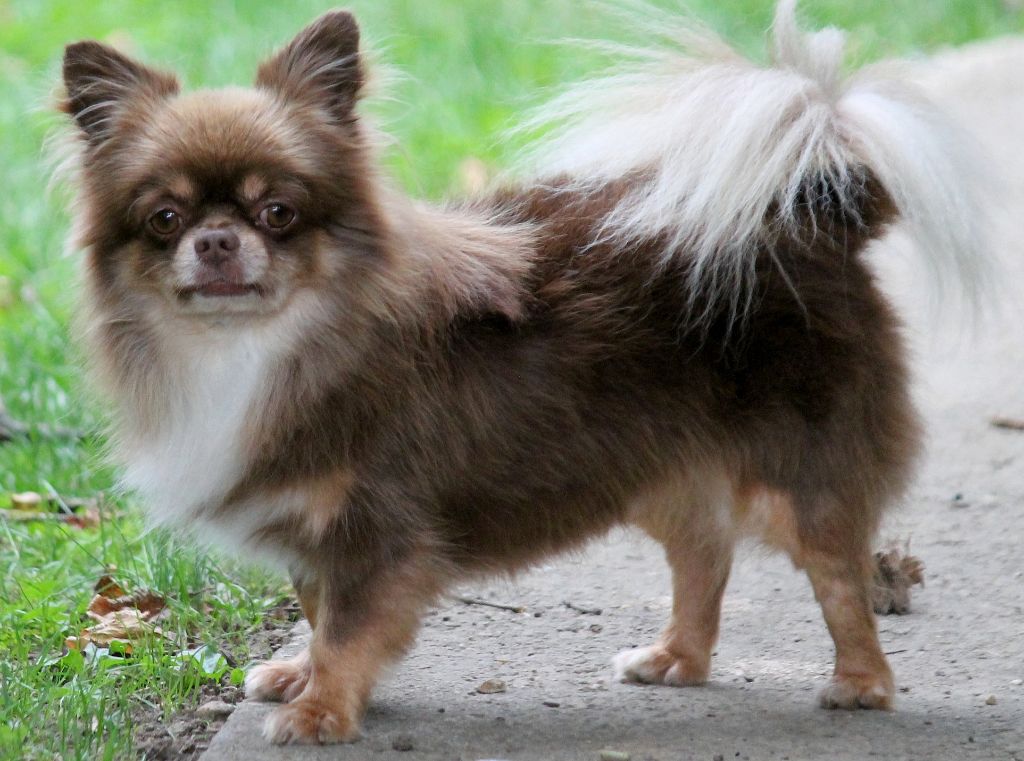 Storm my angels bellanaya