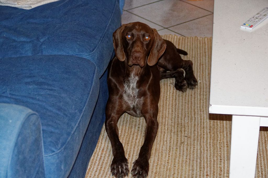 Magnum Du Serre De Lagarde