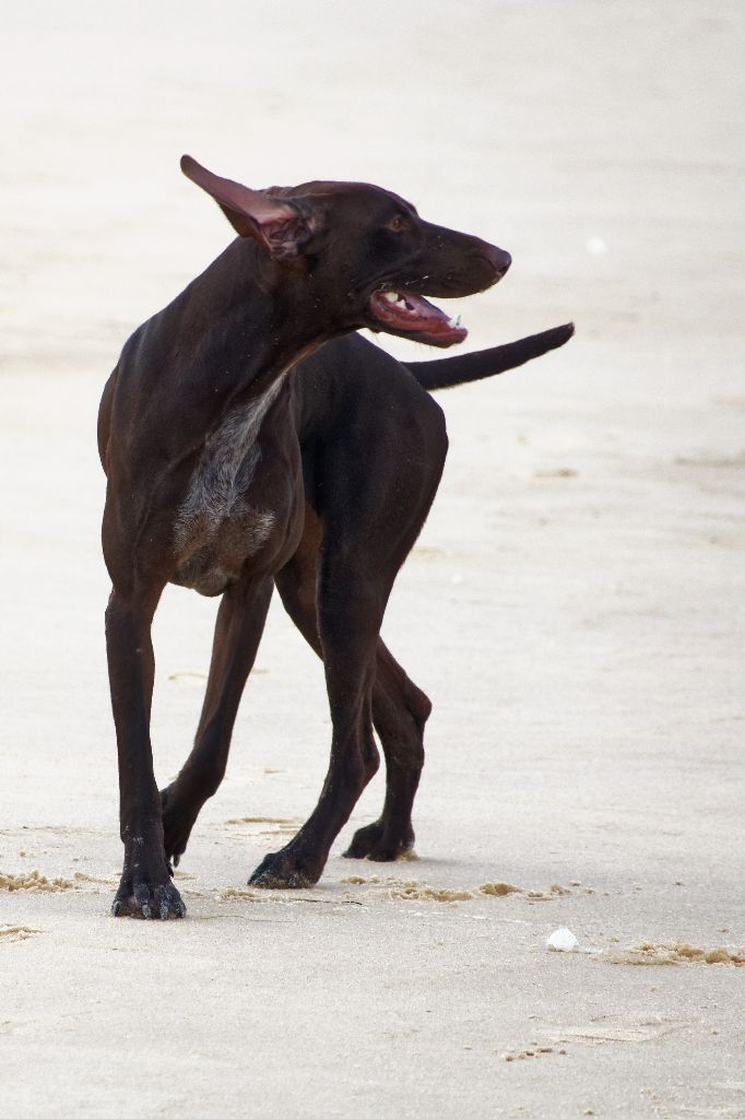Magnum Du Serre De Lagarde