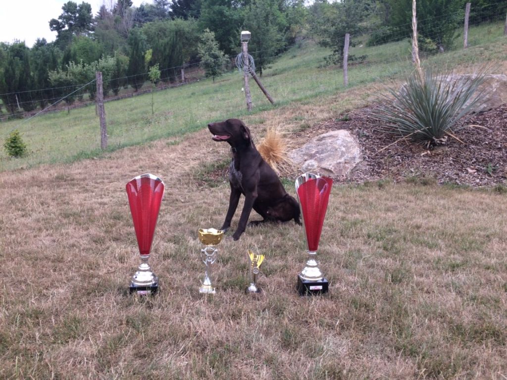 Magnum Du Serre De Lagarde