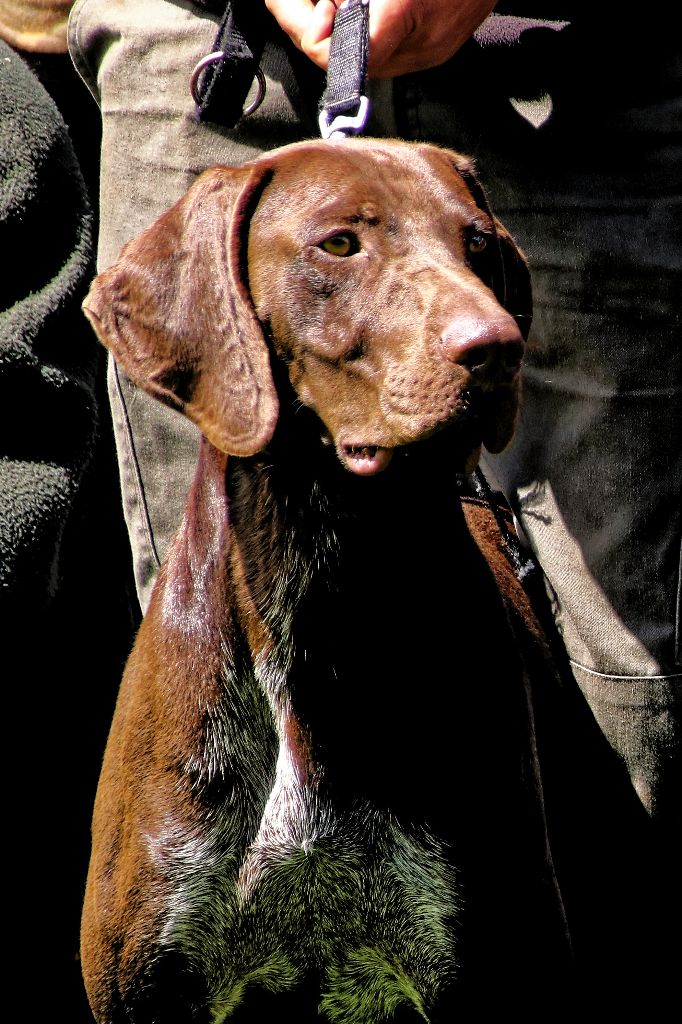 Magnum Du Serre De Lagarde