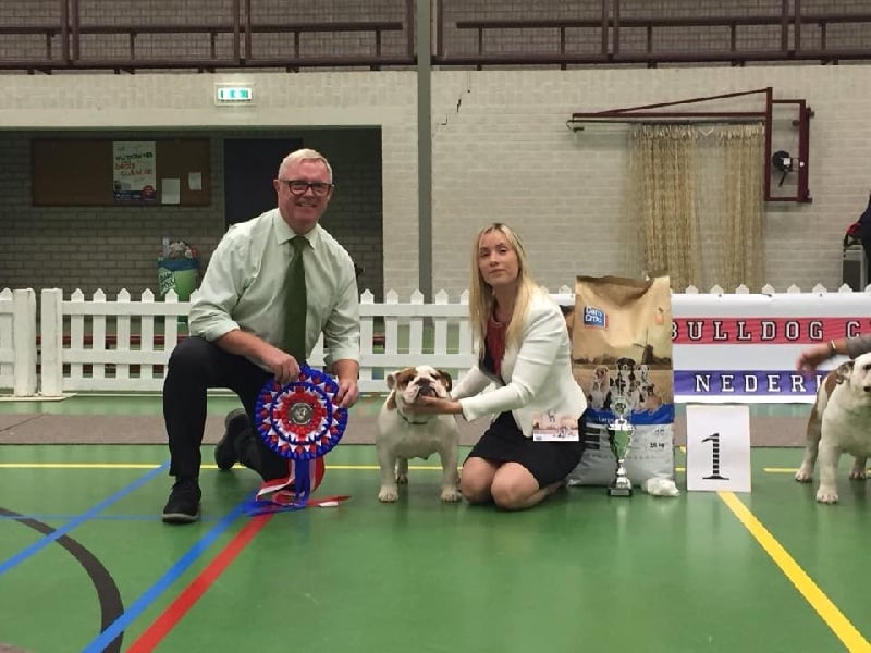 CH. Jackie brown Bulls Save The Queen - 1 er excellent classe jeune, meilleur jeune de race CAC jeune