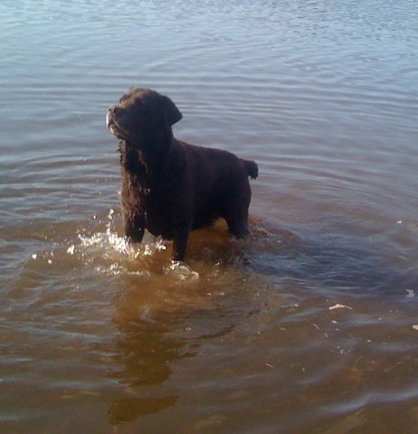 Publication : Du Chateau De Bigny Auteur : Valerie LAMOLET