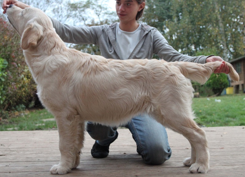 TR. CH. Give me hope of misty dreams