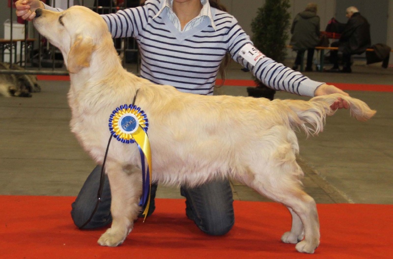 TR. CH. Give me hope of misty dreams