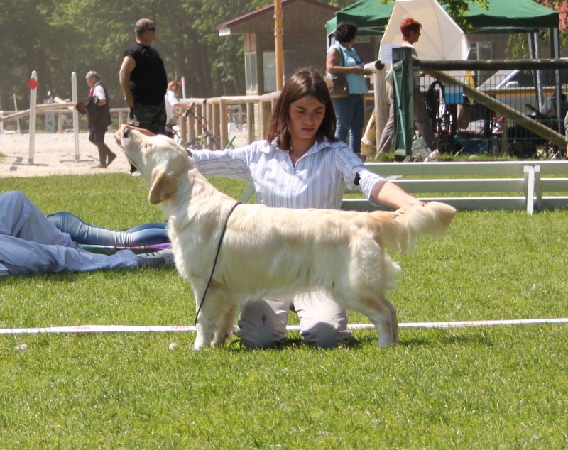 TR. CH. Give me hope of misty dreams