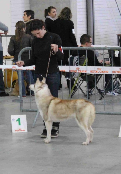 Drouska de L'Igloo des Sables - 2eme exc+RCAS