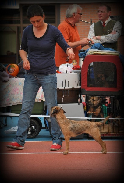 Iryna D'imyrrha - 1 ex Excellent classe intermédiaire