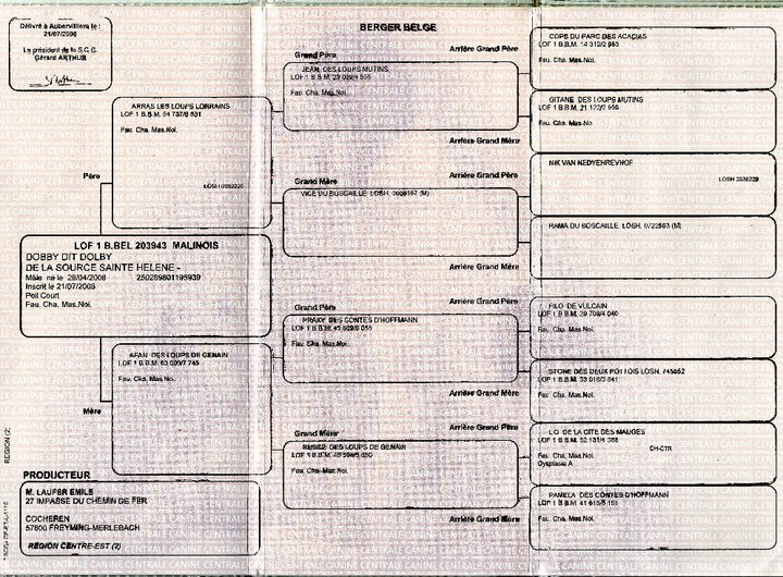 Publication : Des Loups Vaillants Auteur : DEBS EMMANUEL