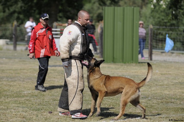 Publication : Des Loups Vaillants Auteur : DEBS EMMANUEL