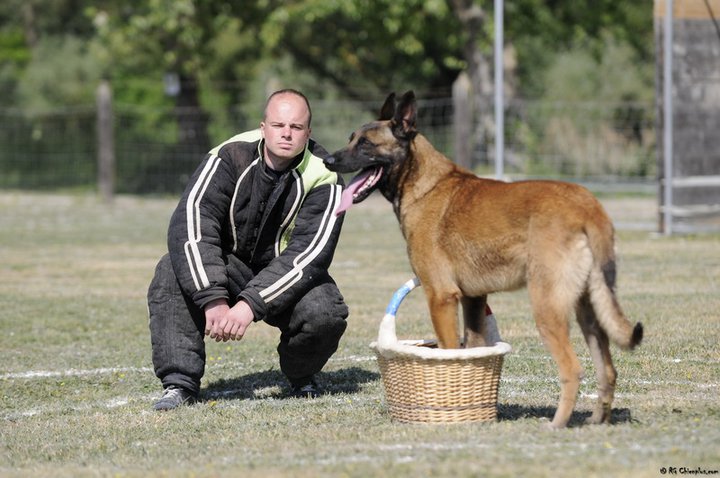 Publication : Des Loups Vaillants Auteur : DEBS EMMANUEL