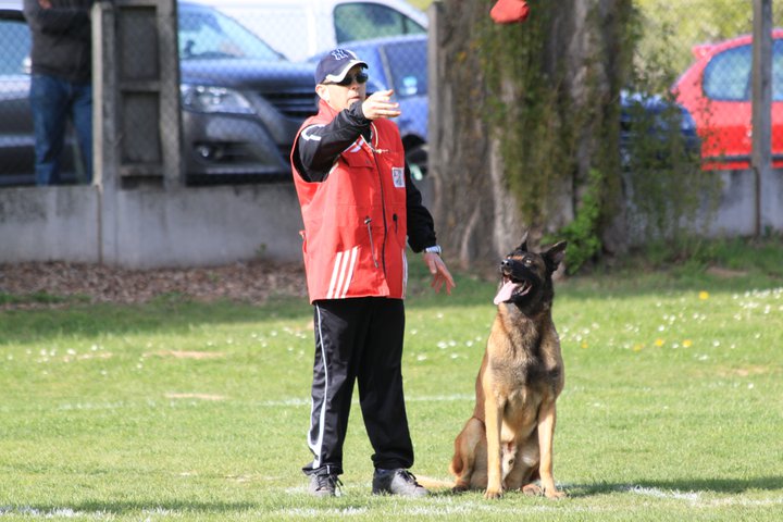 Publication : Des Loups Vaillants Auteur : DEBS EMMANUEL